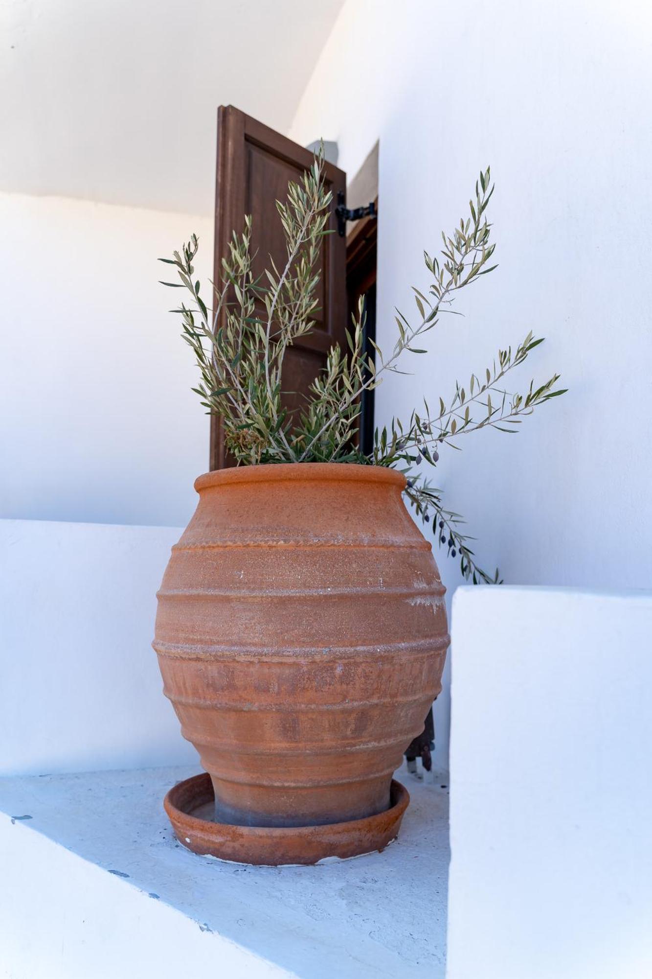 Theoxenia Kasos Luxury Apartments Panagia  Exterior foto